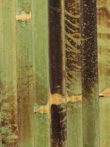 Brązowa mata bambusowa z zewnętrznej kory